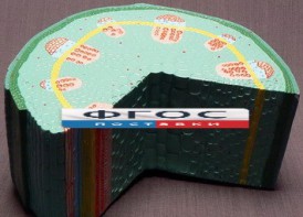 Модель "Стебель растения" - fgospostavki.ru - Петропавловск-Камчатский