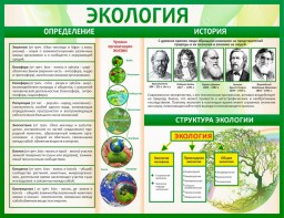 Стенд "Экология" - fgospostavki.ru - Петропавловск-Камчатский