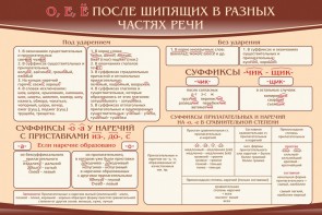 Стенд "о, е, ё, после шипящих в разных частях речи" - fgospostavki.ru - Петропавловск-Камчатский