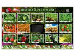 Комплект оборудования "Живой уголок" (растения) - fgospostavki.ru - Петропавловск-Камчатский