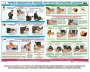 Комплект плакатов "Оказание первой доврачебной медицинской помощи" - fgospostavki.ru - Петропавловск-Камчатский