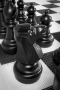 Напольные фигуры шахматные гигантские 61 - fgospostavki.ru - Петропавловск-Камчатский